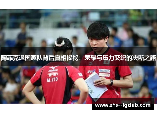 陶菲克退国家队背后真相揭秘：荣耀与压力交织的决断之路