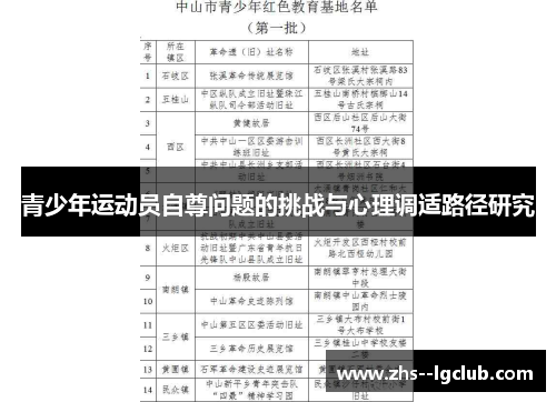 青少年运动员自尊问题的挑战与心理调适路径研究