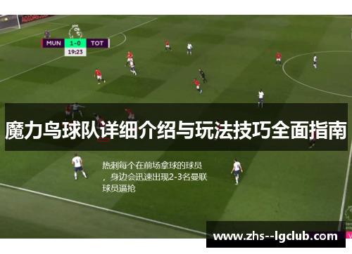 魔力鸟球队详细介绍与玩法技巧全面指南